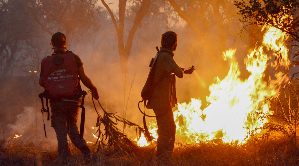 Ecofire Research Into Effects Of Fire On Mammal Survival, Mornington Wildlife Sanctuary