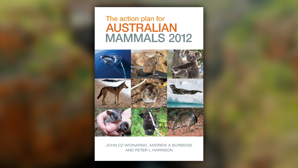 Image C Mammal Action Plan Image