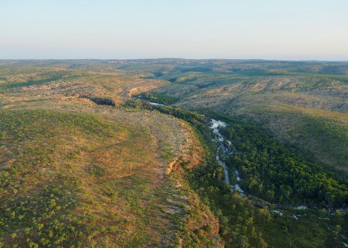 The find has been heralded as a sign of the progress being made under a pioneering model of land management between AWC and Bullo River Station which combines pastoralism and conservation.